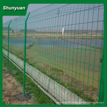 Reinforced double wire fence/Double wire panel fencing/double wire fencing for sale